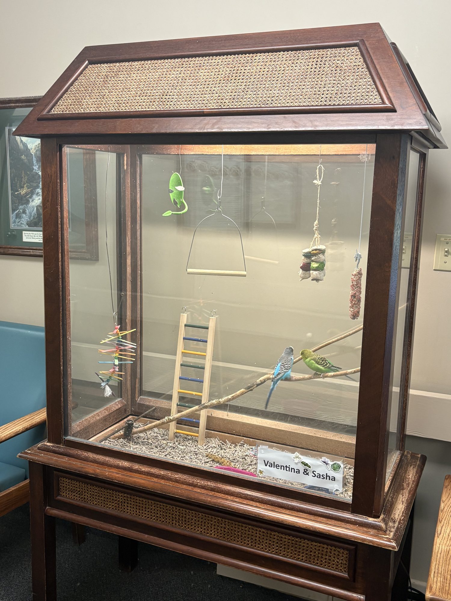 Lounge area aviary